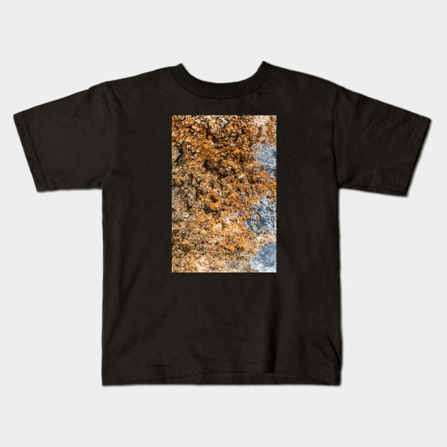 Rustic Seaside Erosion Texture Kids T-Shirt by textural